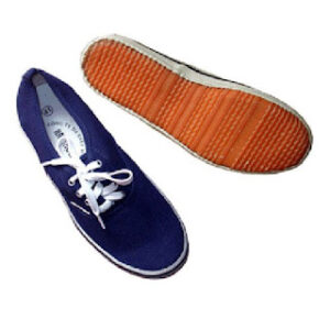 giày vải bảo hộ asia màu xanh GVA0045